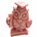 A pink owl figurine wearing a graduation cap and holding a book, shown on a plain white background with white text overlay reading '8cm high x 5cm wide'. CANDLE