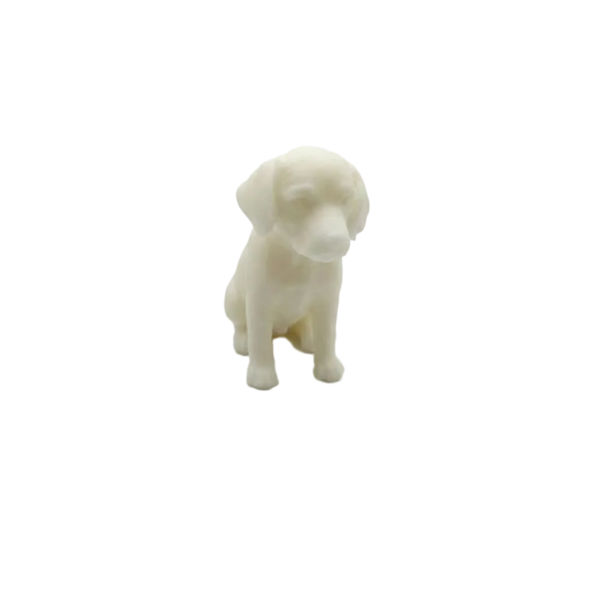 A small white CANDLE of a sitting puppy, photographed against a seamless white studio background.