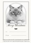 A Christmas greeting card template featuring a black and white photograph of a fluffy cat inside an arched frame, with 'Merry Christmas' written below. The card includes blank lines for 'to' and 'from' and a thin border on a white background.
