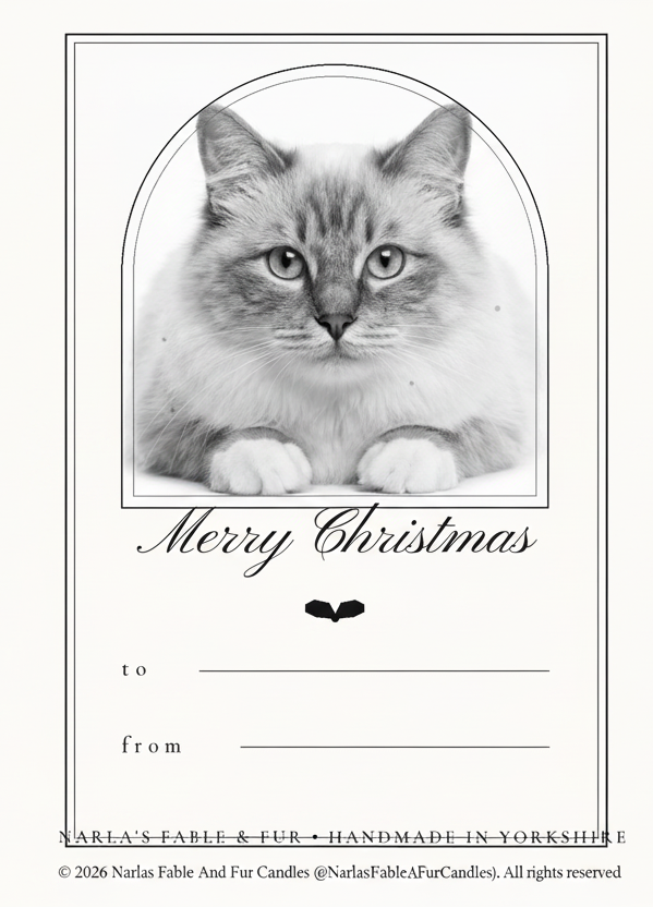 A Christmas greeting card template featuring a black and white photograph of a fluffy cat inside an arched frame, with 'Merry Christmas' written below. The card includes blank lines for 'to' and 'from' and a thin border on a white background.